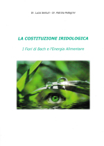 a2.6   La costituzione iridologica